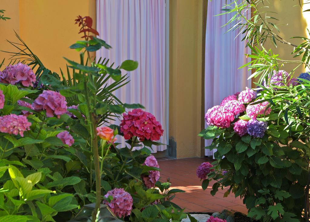 Hotel San Filis San Felice del Benaco Dış mekan fotoğraf