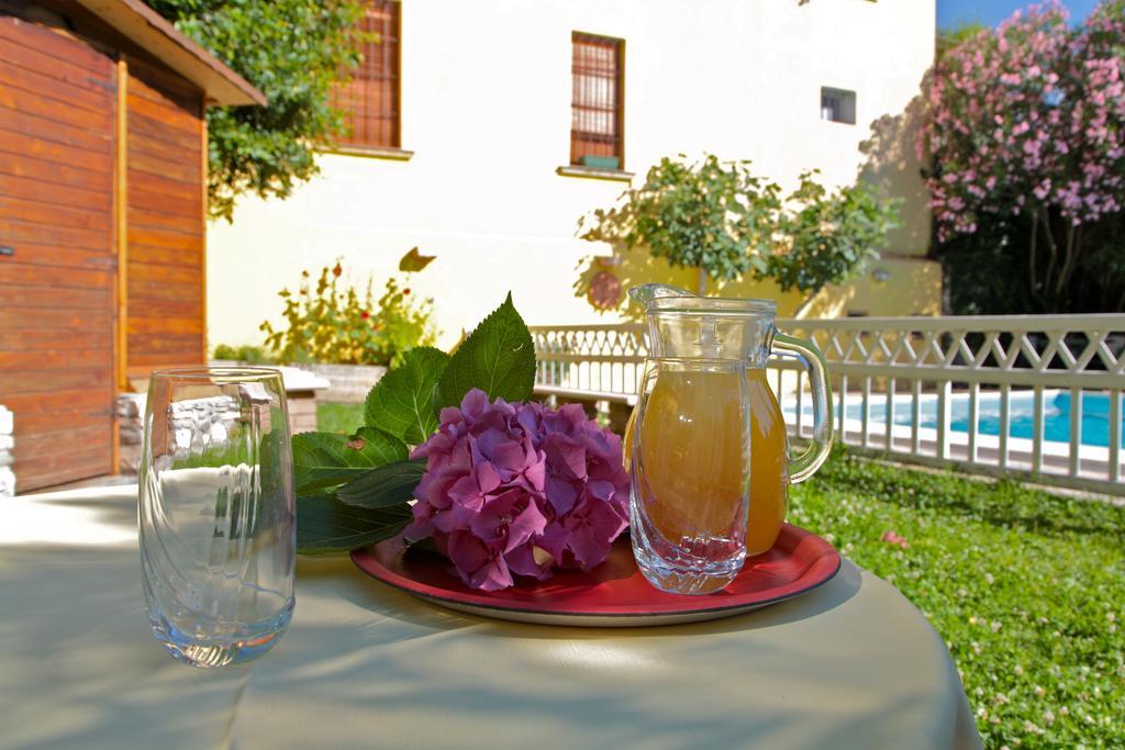 Hotel San Filis San Felice del Benaco Dış mekan fotoğraf