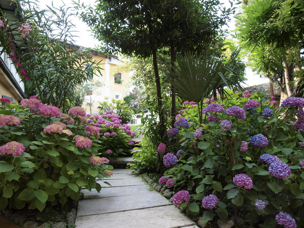 Hotel San Filis San Felice del Benaco Dış mekan fotoğraf